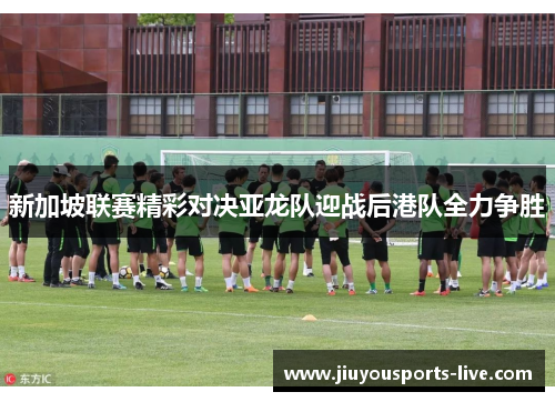 新加坡联赛精彩对决亚龙队迎战后港队全力争胜