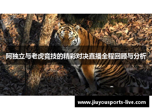 阿独立与老虎竞技的精彩对决直播全程回顾与分析